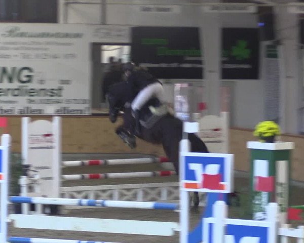 Reitturnier Vreden 2019