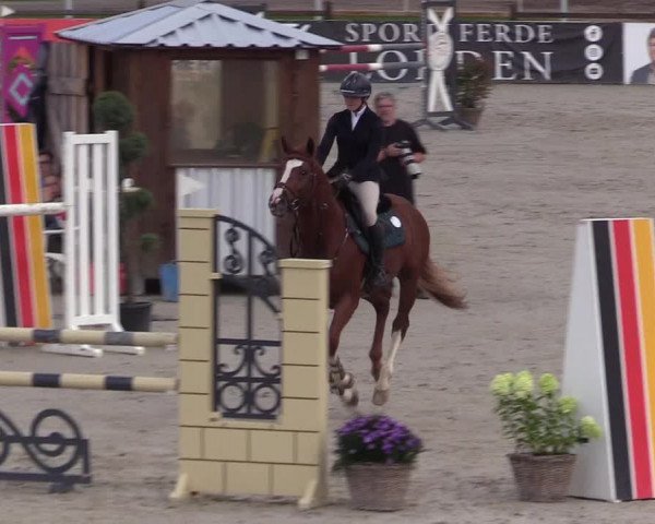 Reitturnier Westergellersen 2021