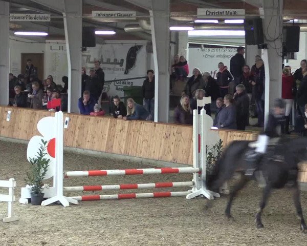Reitturnier Vreden 2019