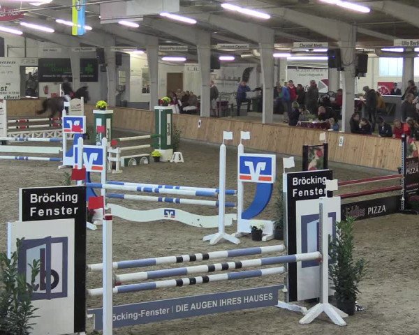 Reitturnier Vreden 2019
