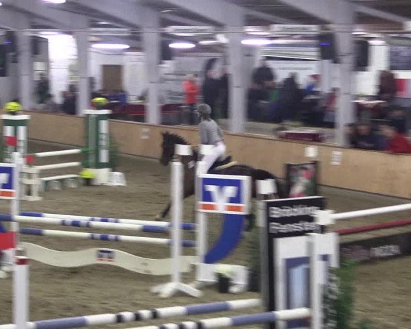 Reitturnier Vreden 2019