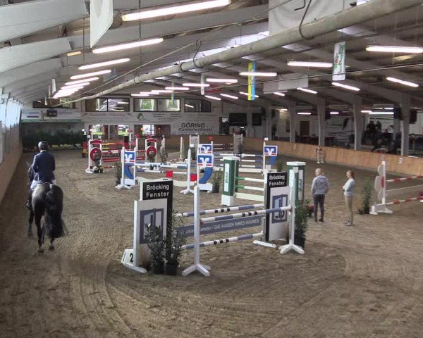 Reitturnier Vreden 2019