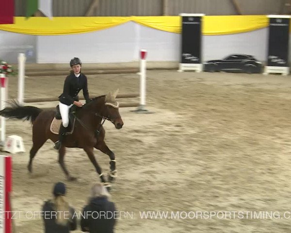 Reitturnier Wil 2019