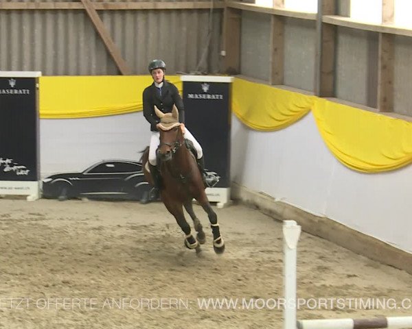 Reitturnier Wil 2019