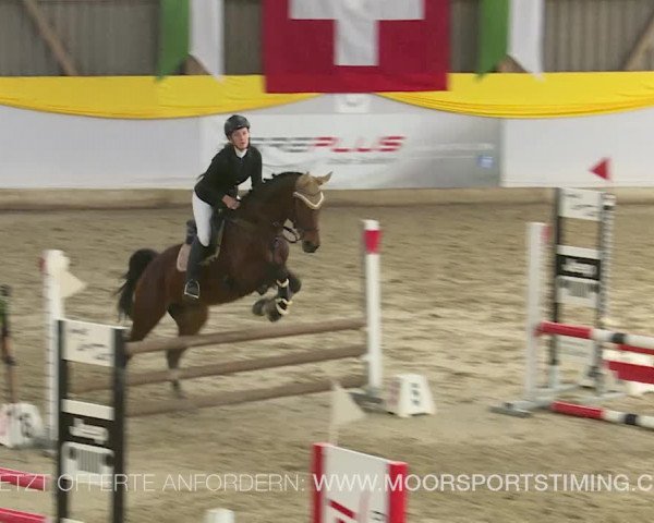 Reitturnier Wil 2019