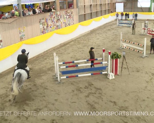 Reitturnier Wil 2019