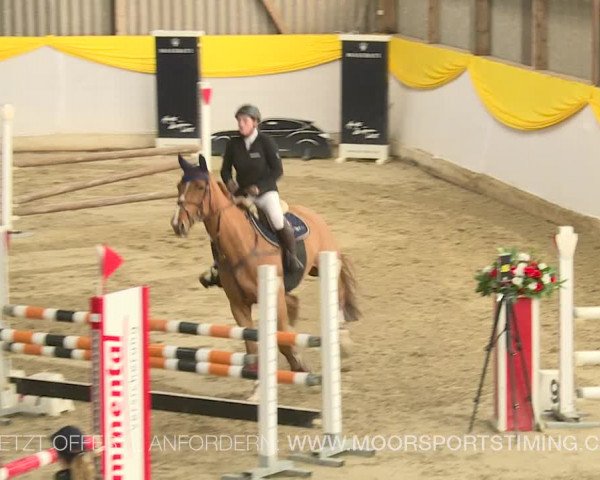 Reitturnier Wil 2019