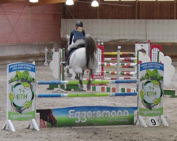 Reitturnier Tremsdorf, Eichenhof 2019