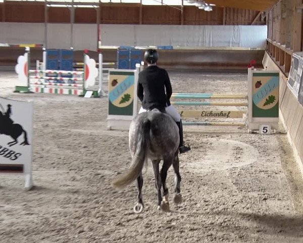 Reitturnier Tremsdorf, Eichenhof 2019