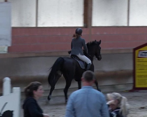 Reitturnier Tremsdorf, Eichenhof 2019