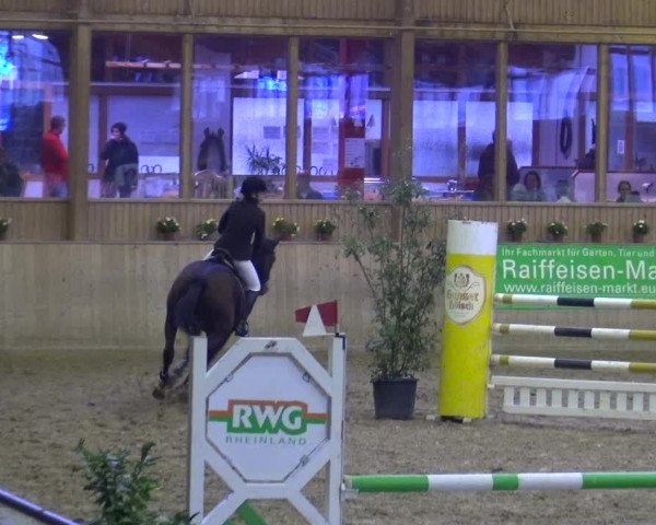 Reitturnier Köln-Leverkusen 2019