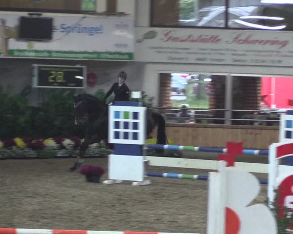 Reitturnier Vreden 2019
