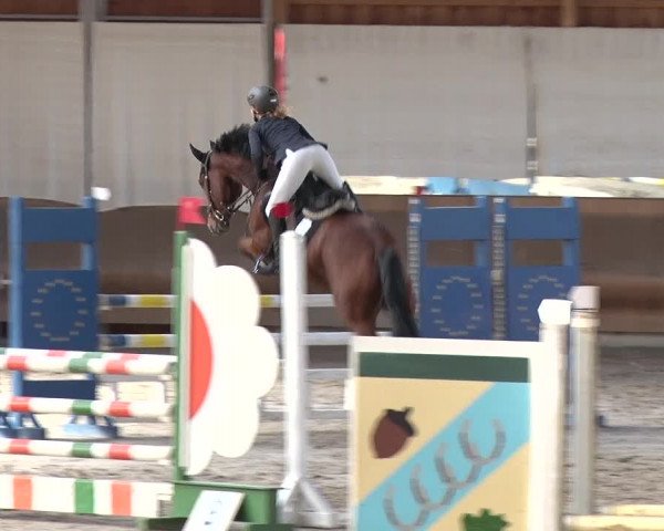Reitturnier Tremsdorf, Eichenhof 2019