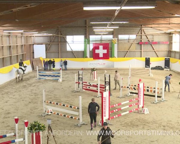 Reitturnier Wil 2019