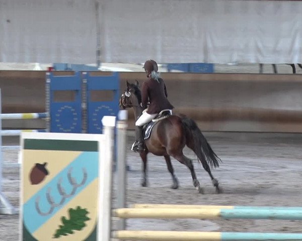 Reitturnier Tremsdorf, Eichenhof 2019