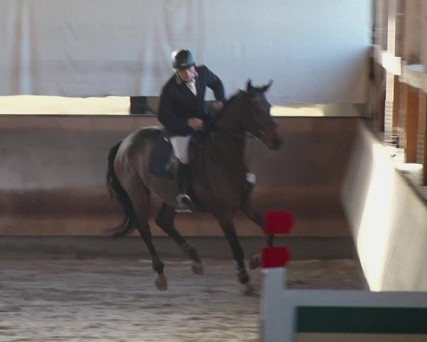 Reitturnier Tremsdorf, Eichenhof 2019