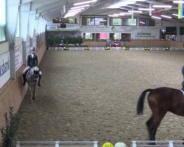 Reitturnier Vreden 2019