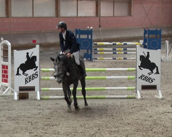 Reitturnier Tremsdorf, Eichenhof 2019