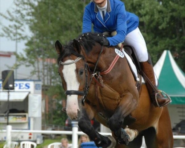 Springpferd Santino 171 (Holsteiner, 2009, von Singulord Joter)