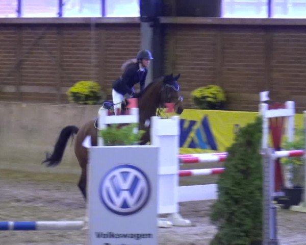 Reitturnier Köln-Leverkusen 2019