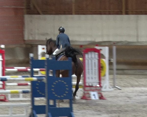 Reitturnier Tremsdorf, Eichenhof 2019