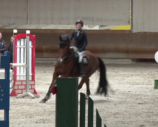 Reitturnier Tremsdorf, Eichenhof 2019