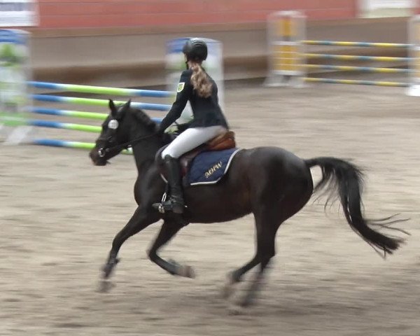 Reitturnier Tremsdorf, Eichenhof 2019
