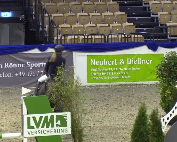 Reitturnier Neumünster 2019