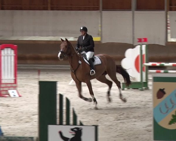 Reitturnier Tremsdorf, Eichenhof 2019