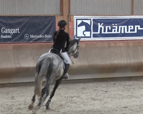 Reitturnier Tremsdorf, Eichenhof 2019