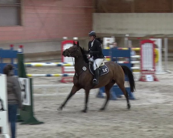 Reitturnier Tremsdorf, Eichenhof 2019