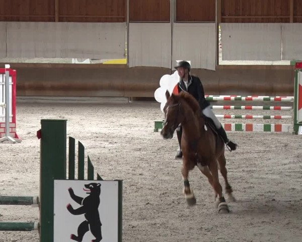 Reitturnier Tremsdorf, Eichenhof 2019