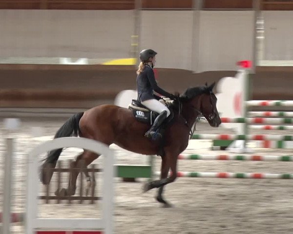 Reitturnier Tremsdorf, Eichenhof 2019