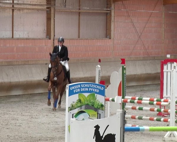 Reitturnier Tremsdorf, Eichenhof 2019