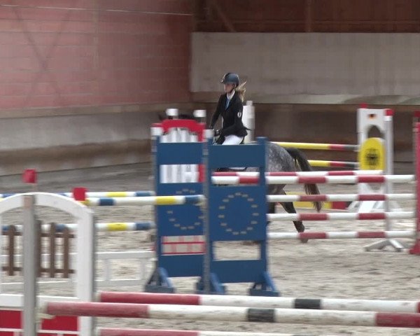 Reitturnier Tremsdorf, Eichenhof 2019