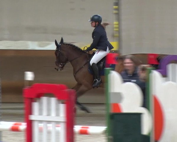 Reitturnier Tremsdorf, Eichenhof 2019