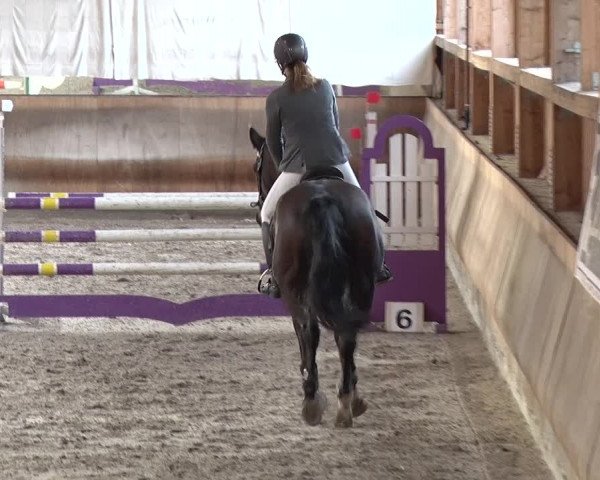 Reitturnier Tremsdorf, Eichenhof 2019
