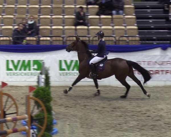 Reitturnier Neumünster 2019