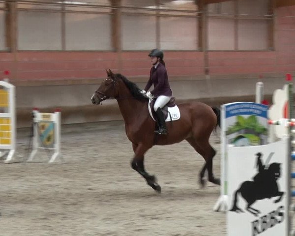 Reitturnier Tremsdorf, Eichenhof 2019