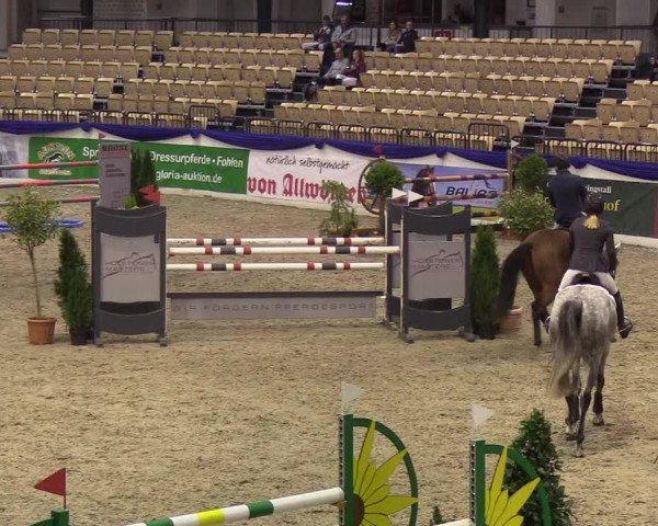 Reitturnier Neumünster 2019