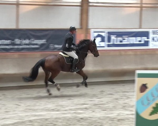 Reitturnier Tremsdorf, Eichenhof 2019