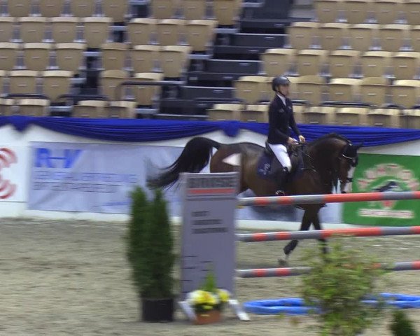 Reitturnier Neumünster 2019