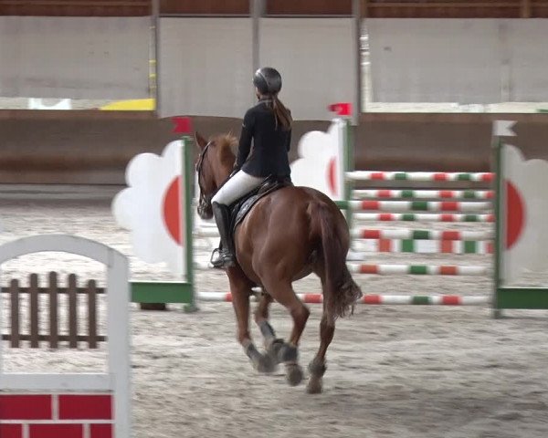Reitturnier Tremsdorf, Eichenhof 2019