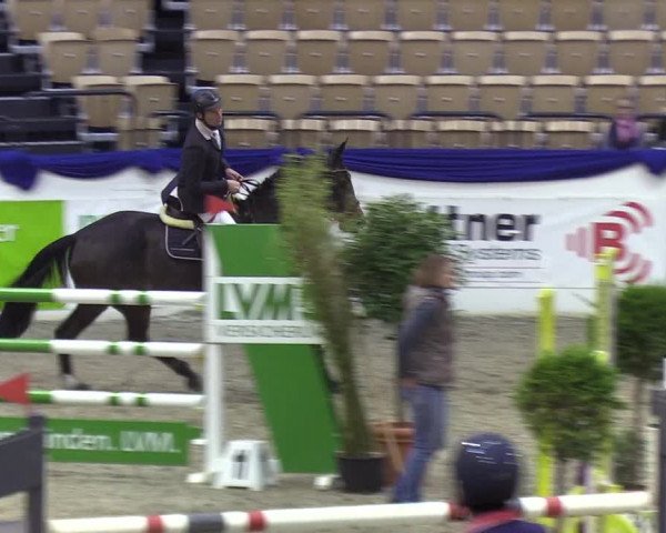 Reitturnier Neumünster 2019