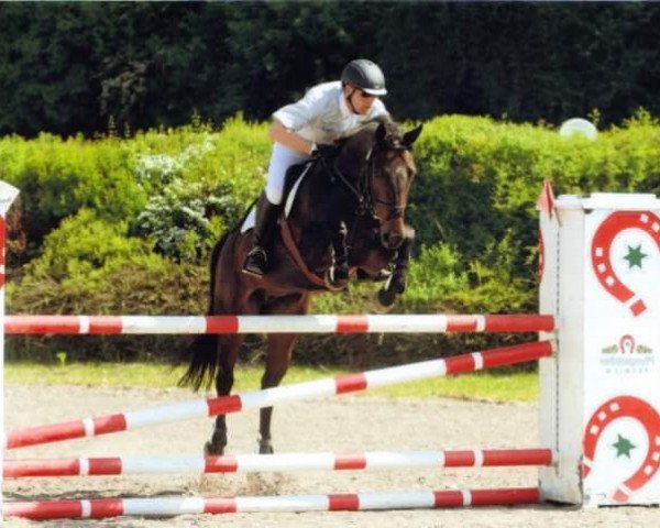 broodmare Lesita (Oldenburg, 2002, from Lamentos) broodmare Lesita (Oldenburg, 2002, from Lamentos)