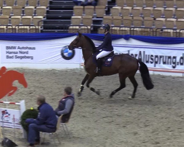 Reitturnier Neumünster 2019