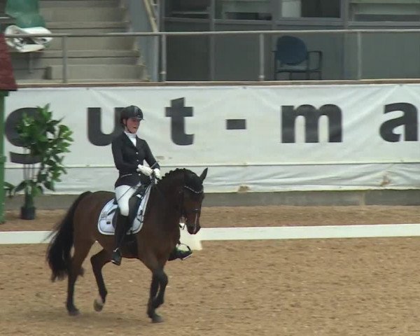 Reitturnier Kreuth/Opf. 2019