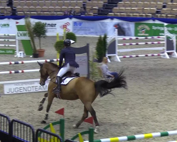 Reitturnier Neumünster 2019