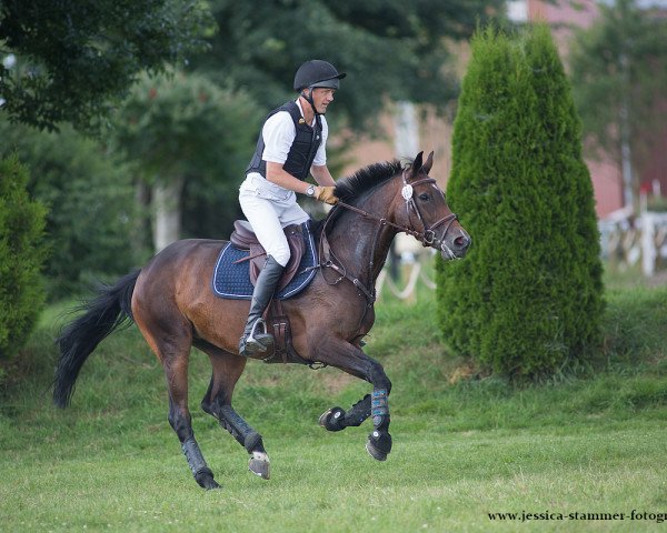 jumper KH's Une de May (Oldenburg, 2010, from Balou du Rouet)