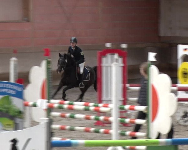 Reitturnier Tremsdorf, Eichenhof 2019